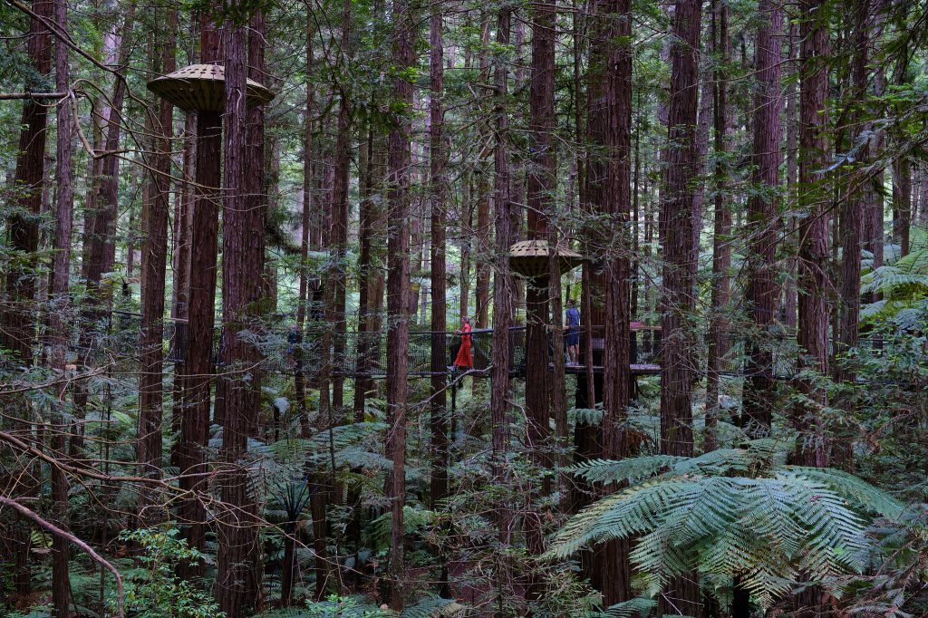 Mount Maunganui to Manganuia: Endor to Mount&nbsp;Doom