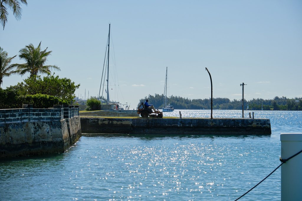 Mowing the Lawn on the Dock